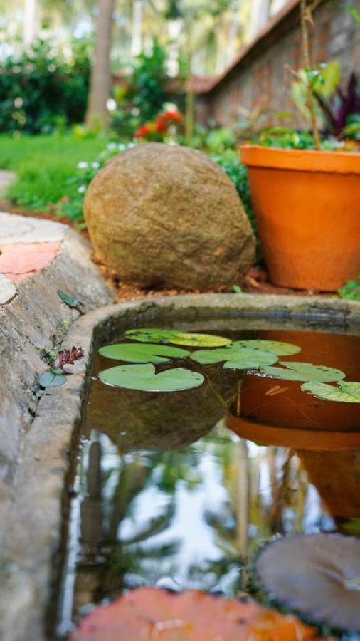 Dr Nisha'S Vedic Remedies Thiruvananthapuram ภายนอก รูปภาพ